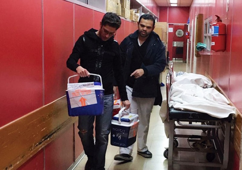 Trasplante De Organos