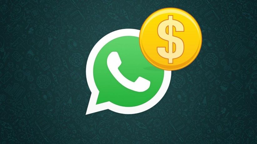 Whatsapp Plata.jpg 312864739