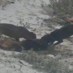 20190828104119a0627096a9c317b59580ca636094c25f Min