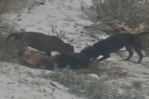 20190828104119a0627096a9c317b59580ca636094c25f Min