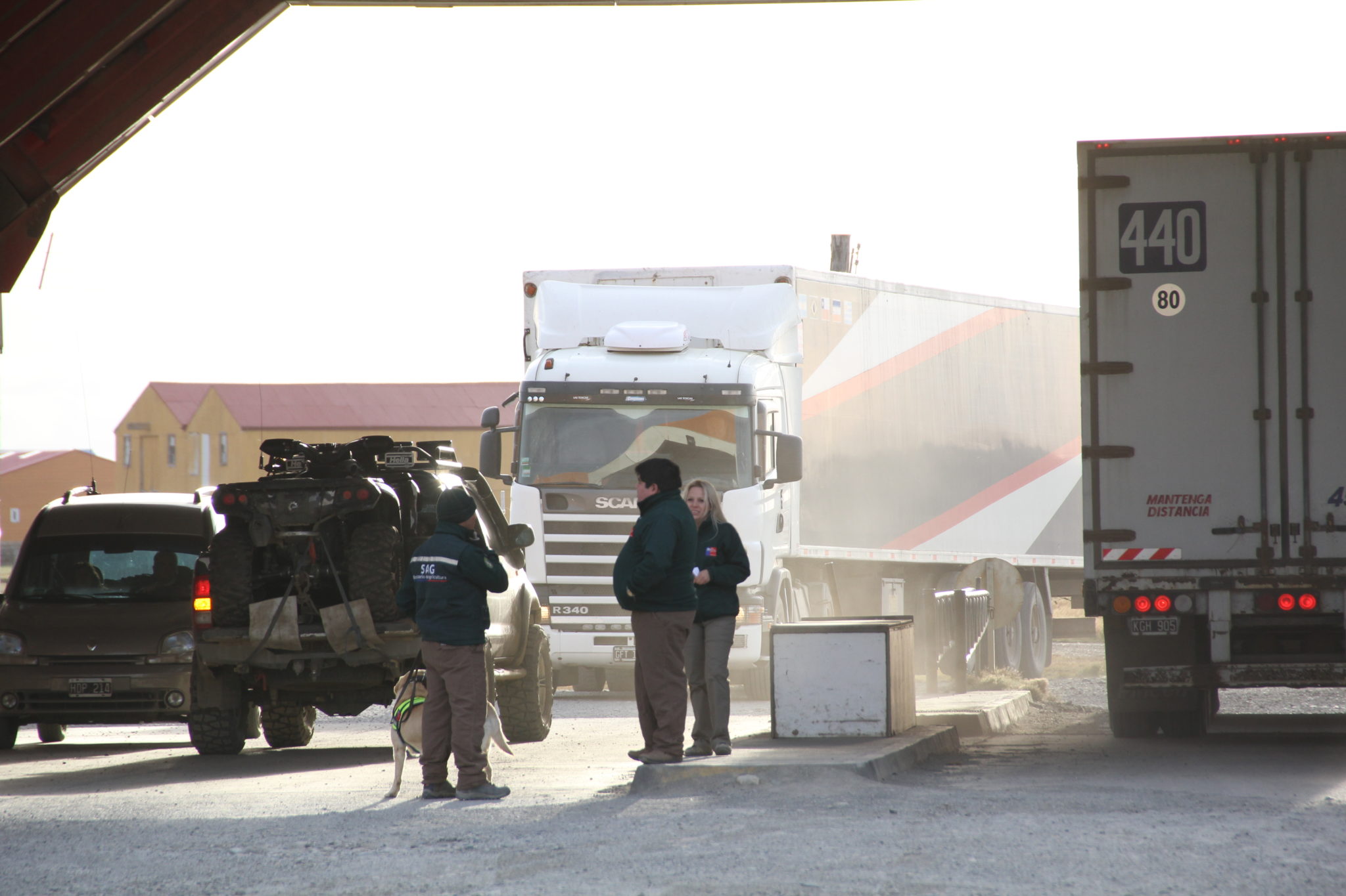 Sag Magallanes (160)