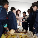 C44a9390f5ca2dddc1f7cf7ec5887d6c 1000semana Ciencia Circa.jp