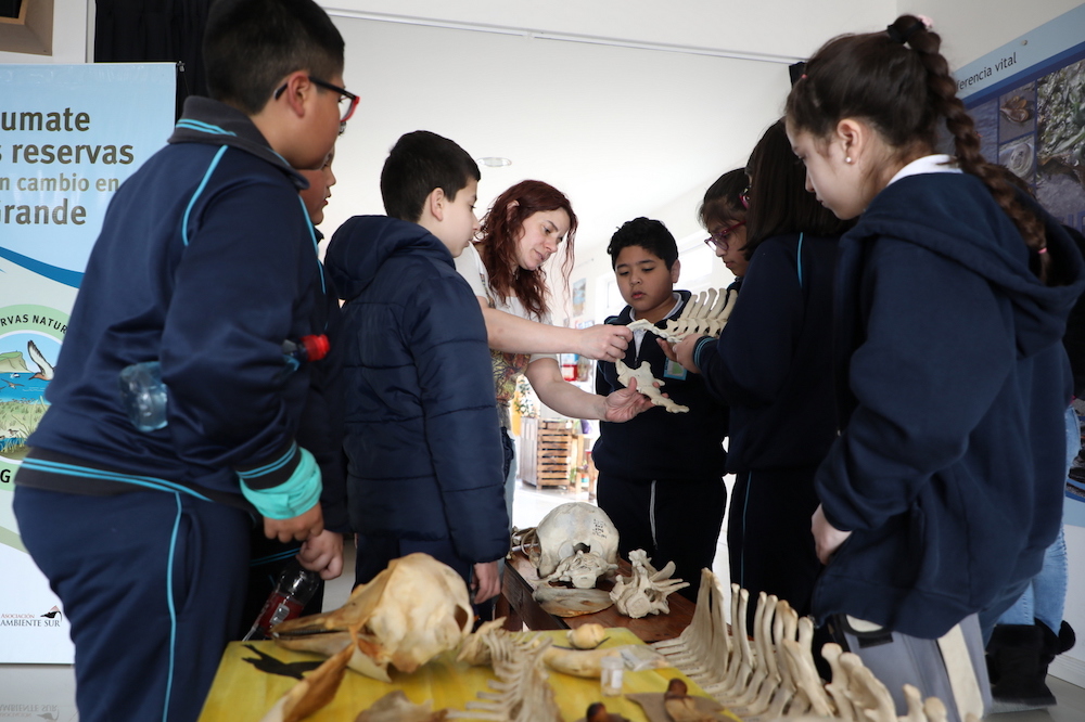 C44a9390f5ca2dddc1f7cf7ec5887d6c 1000semana Ciencia Circa.jp