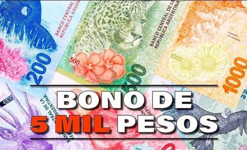 El Gobierno Oficializó El Bono De $5000 Para El Sector Privado