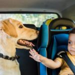 Img Mrius 20190314 105036 Imagenes Lv Terceros Perro Coche Nino Khoe U461022430570gl 992x558@lavanguardia Web