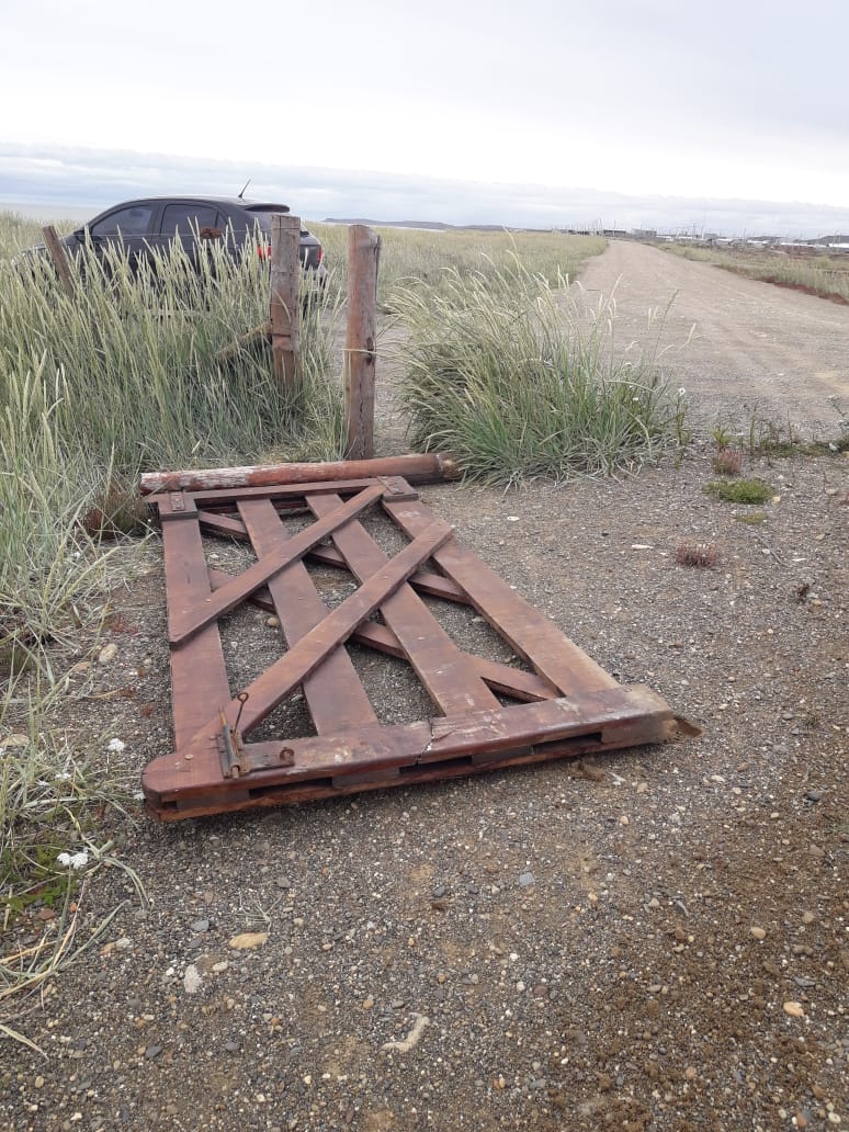 Img 20200106 124954 169