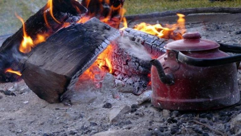 F800x450 34795 86241 0 768x432