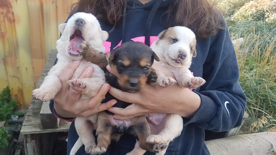 89589853 3165555360131177 191530067950567424 N (1)