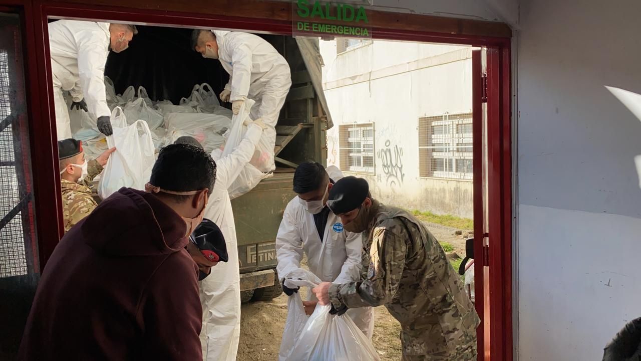 Modulos Alimentarios