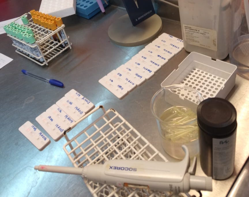 9fb845e6 2f3b 4216 A405 F2b063a79625