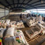 35a5fa56 9a87 446a 88a2 D7980acd271d