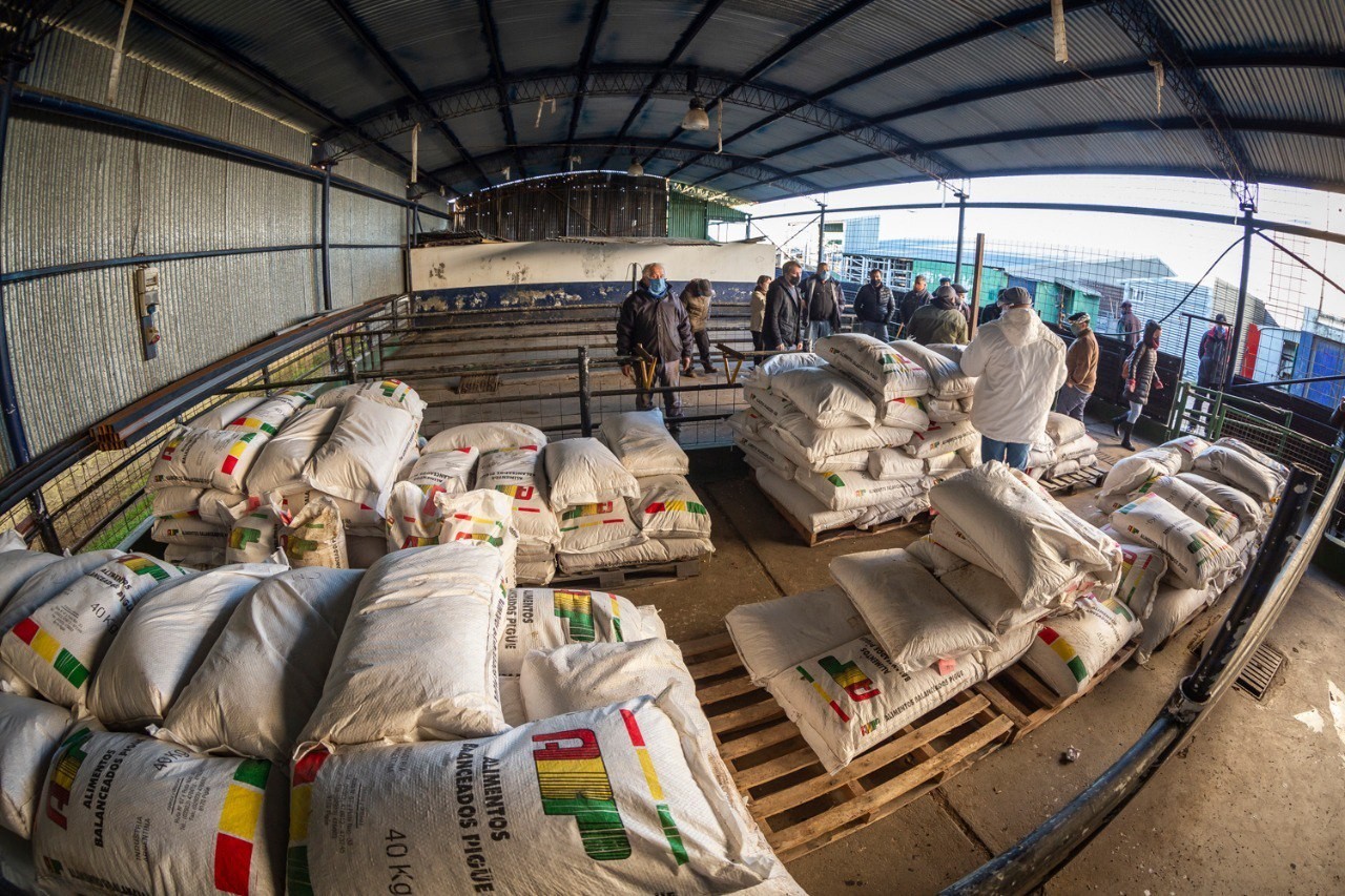 35a5fa56 9a87 446a 88a2 D7980acd271d