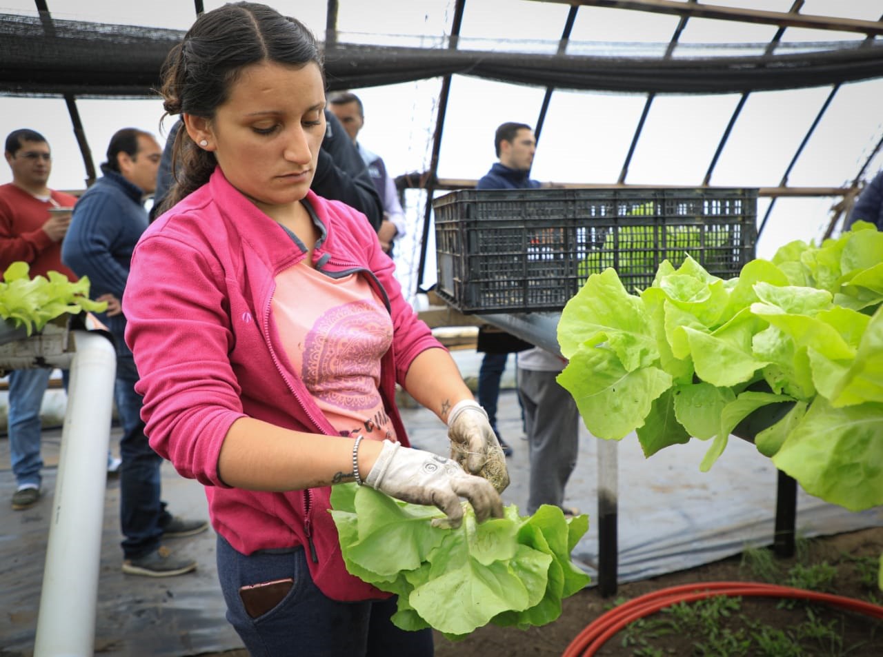 936d9318 D4cb 47d8 9ed6 99702c353ec6