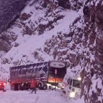 D39a8ad5 D238 4358 B53a C406ecf19e12