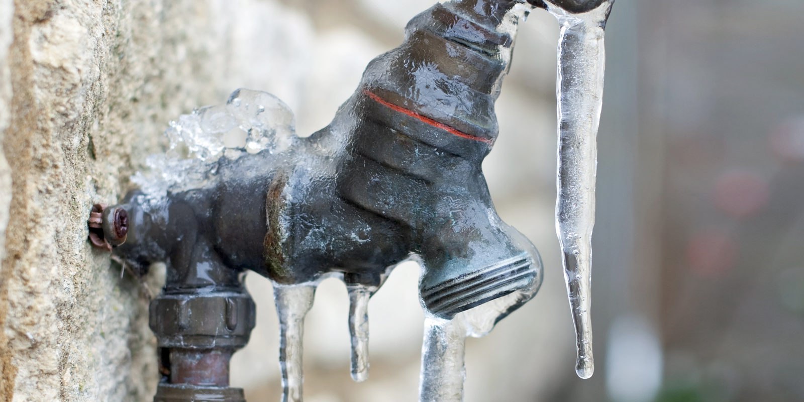 D55304f4 9fd3 45e3 Bfd5 6cdaf3c71e04