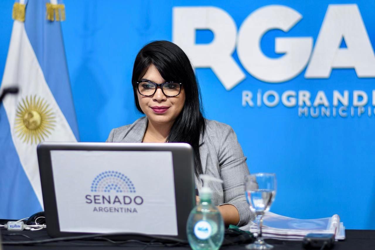 Senadora Dure En La Tercara Sesión Remota Del Senado De La Nación (1)