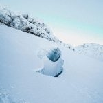 4454af5c 4eef 45bf 8bcf F5d0ea5f6fd3