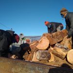 56b5cfea 1574 43cb A8d2 Aa5ab197b962