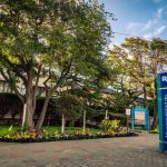 392d5890 2e4a 4ff0 B6f9 373759fe876b