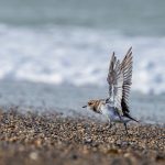 7b562316 C426 48b2 B677 Bdd89a6b6d55