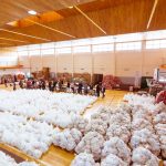 Modulos Alimentarios Bolson