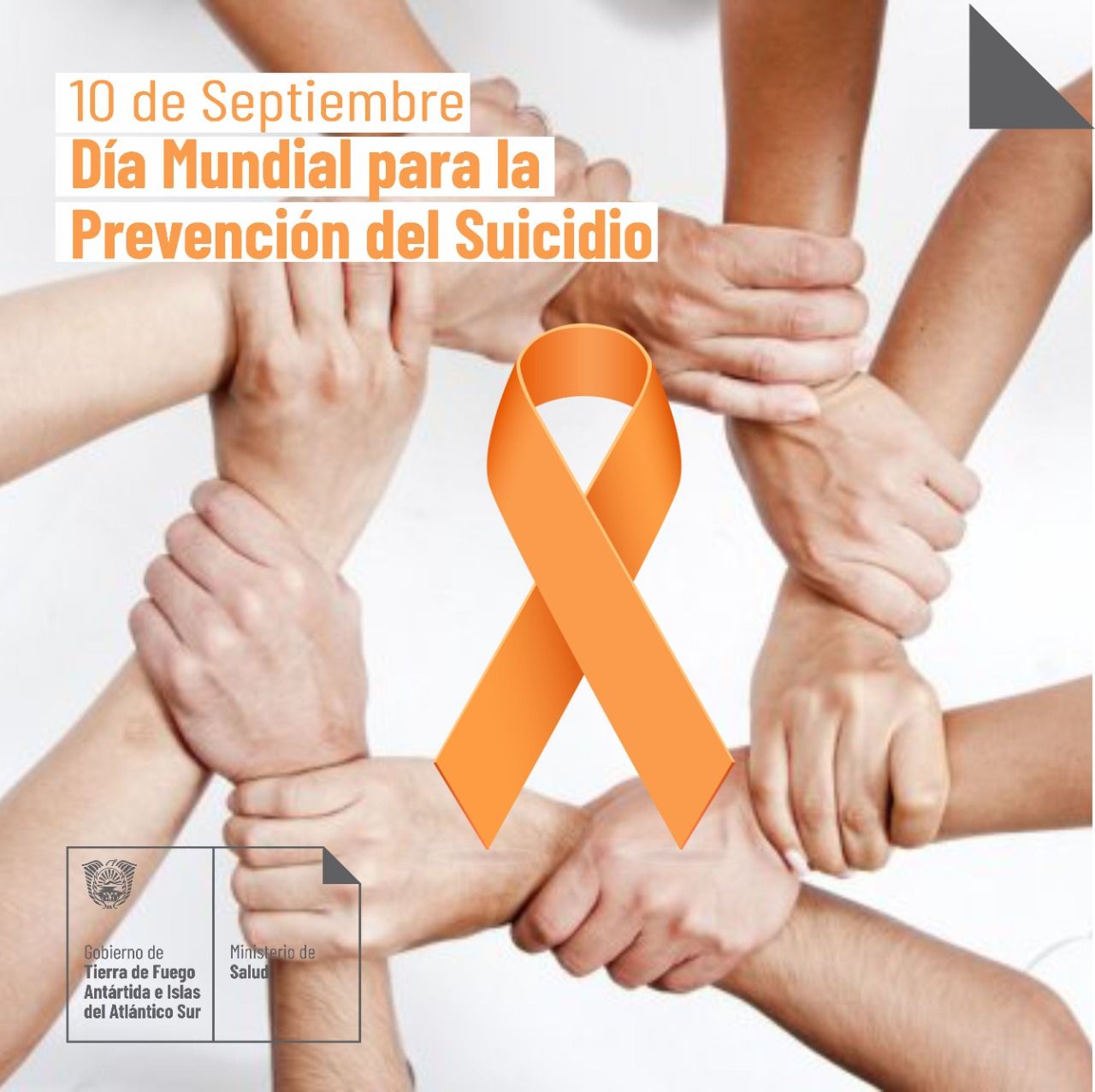 Photo5102976504555481274