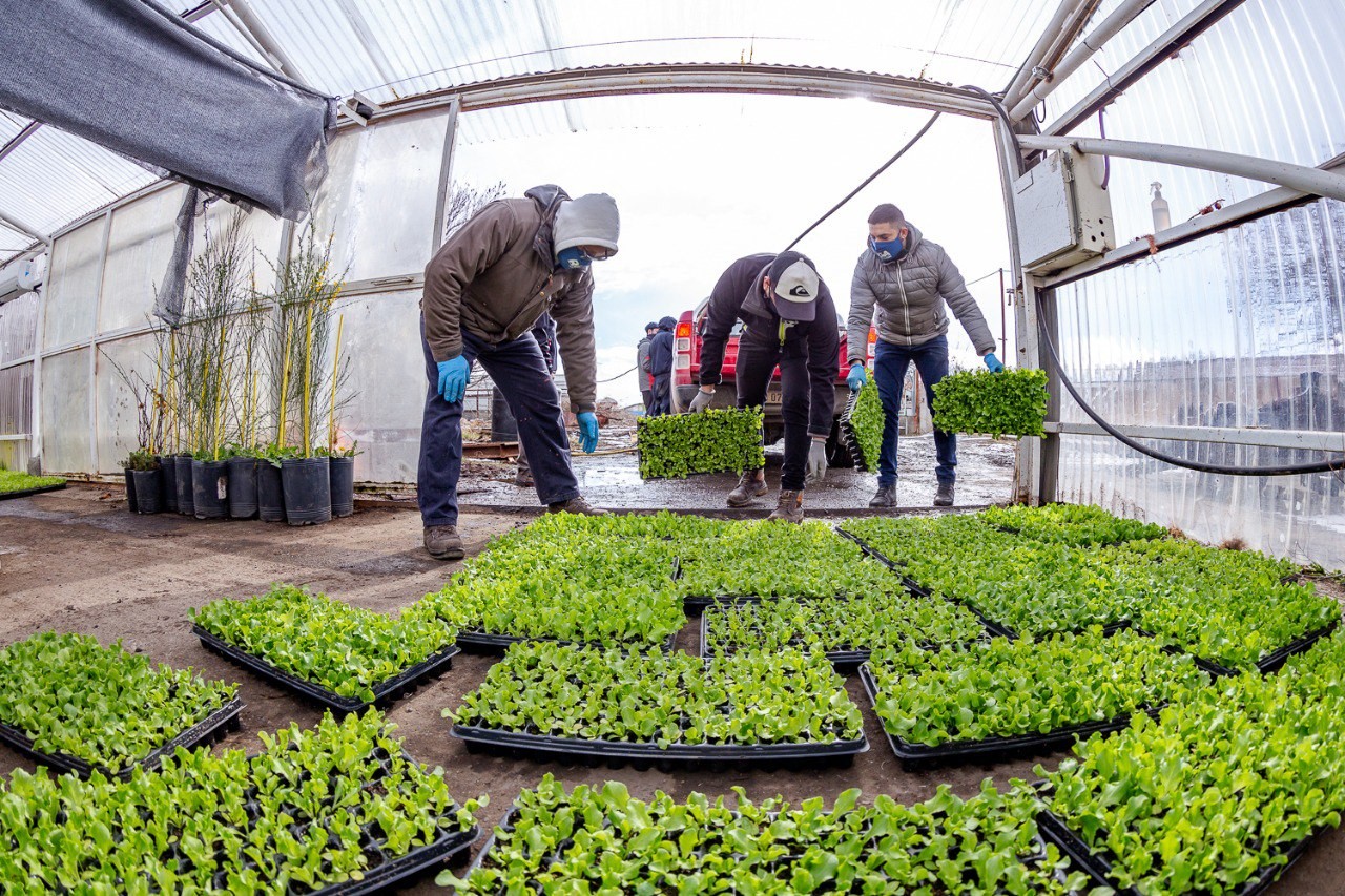 E99853c3 8faf 46e0 86c4 Ccaf9e22fef3