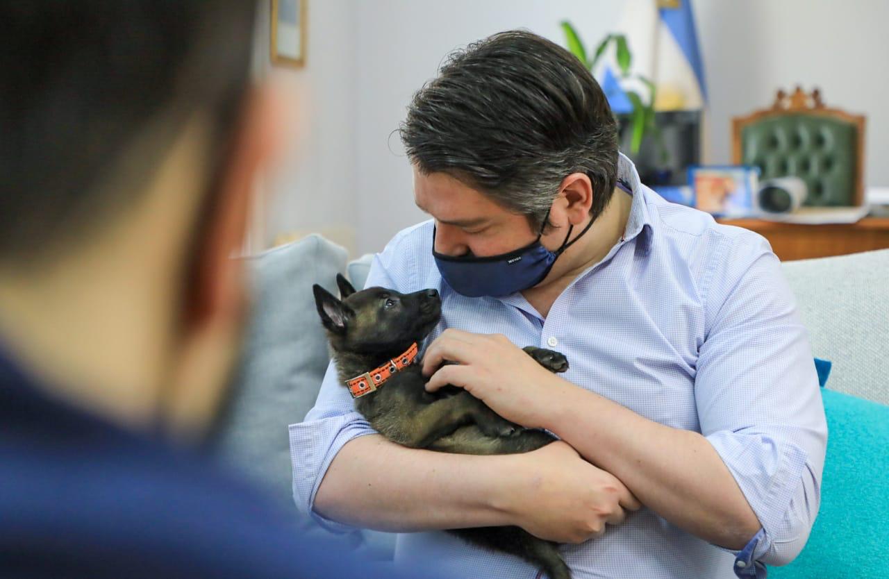 Municipio Division Canes