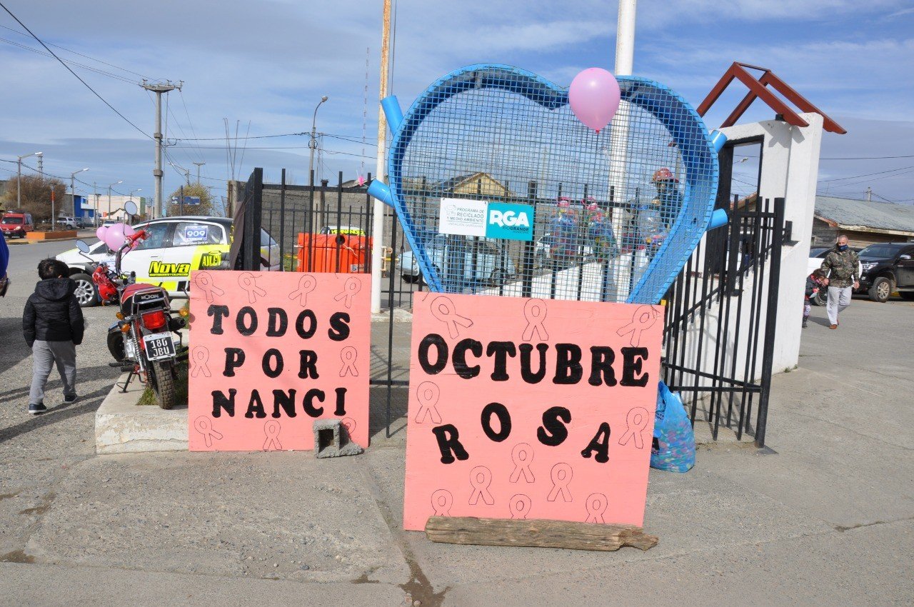 Rosa 1