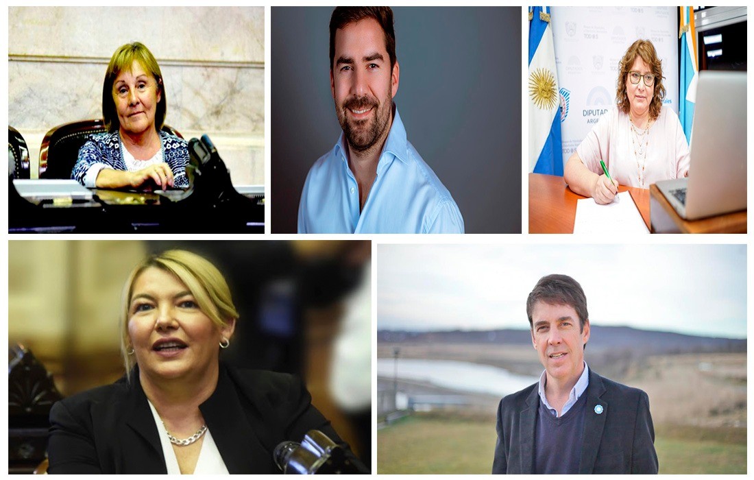 Diputados Tierra Del Fuego