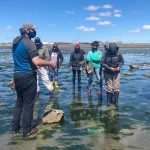 Photo 2021 01 27 12 37 28