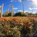 Photo 2021 01 27 19 43 16