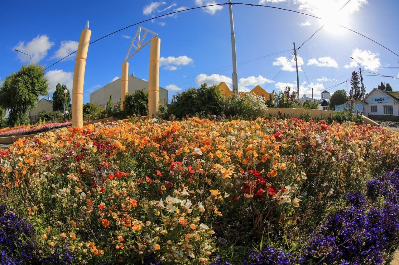 Photo 2021 01 27 19 43 16