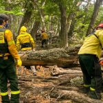 Photo 2021 01 29 13 13 31