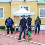 Photo4960996129974102223