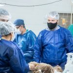 photo4994523563809679569