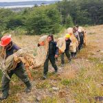 Photo 2021 02 07 16 02 48