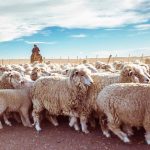 photo 2021 02 20 14 55 58