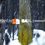 photo 2021 03 28 21 30 04