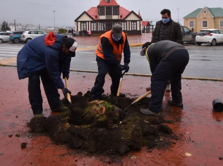 photo 2021 04 23 23 43 24