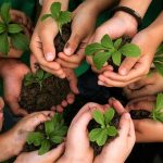 photo5003976262842165589