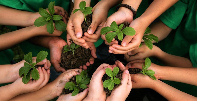 photo5003976262842165589