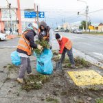 photo 2021 05 04 12 25 36