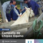 photo 2021 05 04 12 29 41