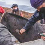 photo 2021 05 07 19 52 35