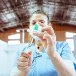 photo 2021 05 25 20 35 35