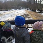 photo 2021 06 15 14 13 07