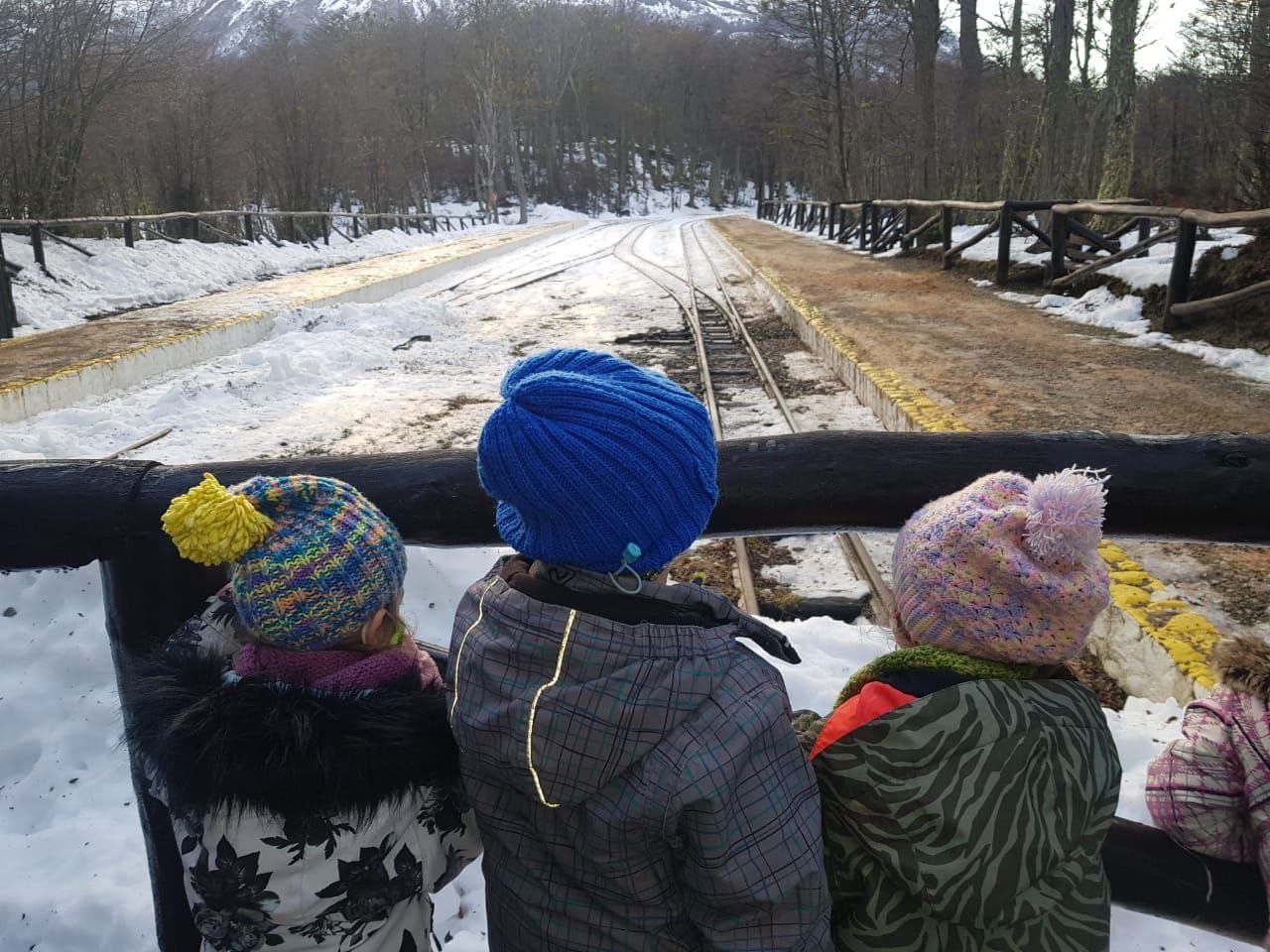 photo 2021 06 15 14 13 07