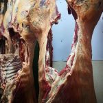 b13970db 5281 4527 84c3 531c5aa5a41d