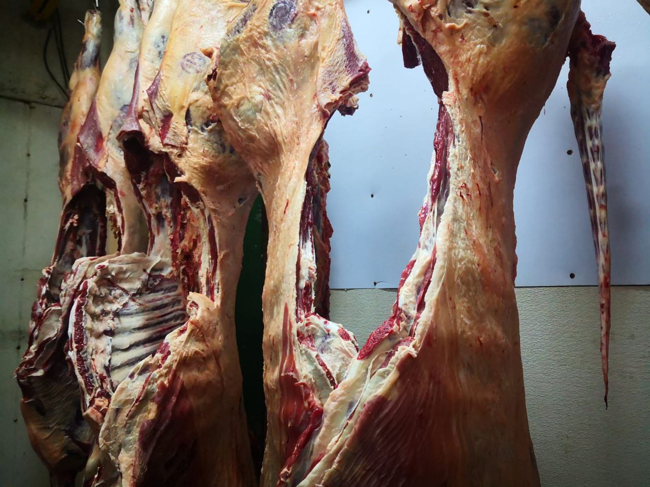 b13970db 5281 4527 84c3 531c5aa5a41d